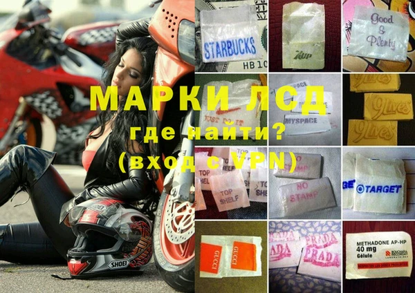 ГАЛЛЮЦИНОГЕННЫЕ ГРИБЫ Покров