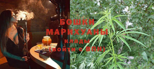 ГАЛЛЮЦИНОГЕННЫЕ ГРИБЫ Покров