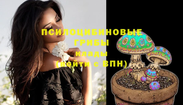ГАЛЛЮЦИНОГЕННЫЕ ГРИБЫ Покров