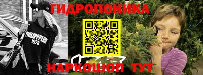 гашик Абинск