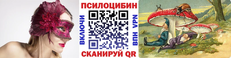 OMG вход  Алексин  Галлюциногенные грибы MAGIC MUSHROOMS 