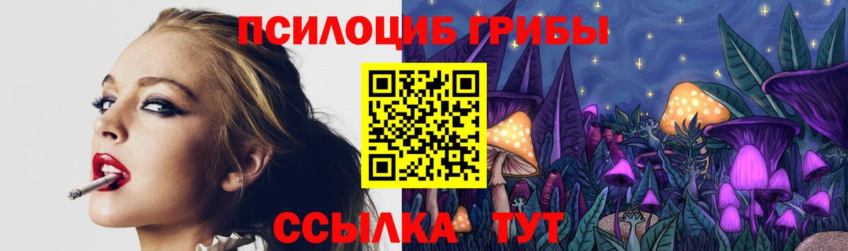 Галлюциногенные грибы Cubensis Алексин