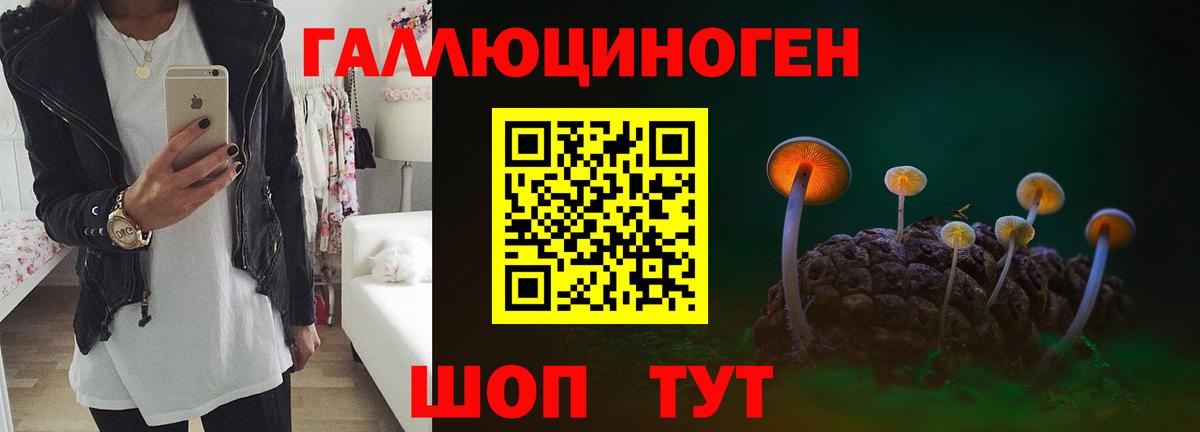Псилоцибиновые грибы Psilocybine cubensis Алексин