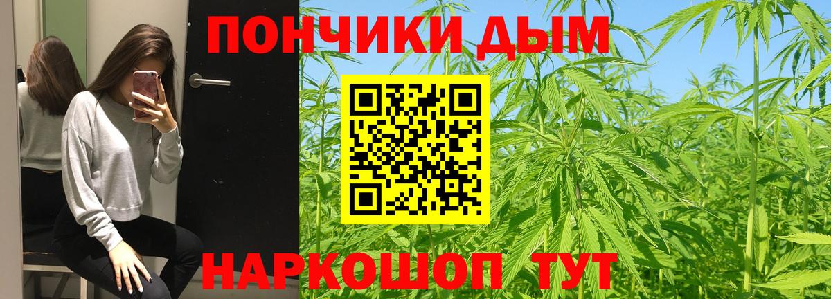 Бошки Шишки тримм  Шишки марихуана планчик  Алексин  Канабис тримм  Каннабис семена 